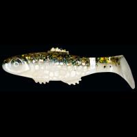 00000029667.jpg 00000029667.jpg