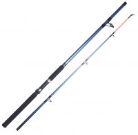 Спиннинг шт. RUBICON IDEA 100-250g 3.00m 1011-300