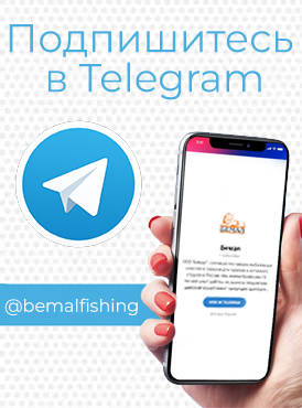 Telegram Telegram