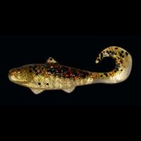 00000030267.jpg 00000030267.jpg