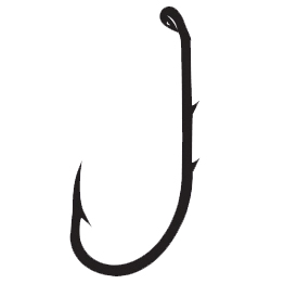 00000021006.jpg 00000021006.jpg