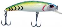 Воблер RUBICON RANK MINNOW S, 60mm, 6.5gr, F1511