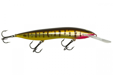 6dd1523d_a43c_11e2_99f1_000c29dcb76f_4b516928_75c8_11e7_8584_5651abc4c61e.resize1