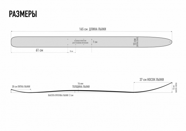 165.4_тайга_абс_дерево